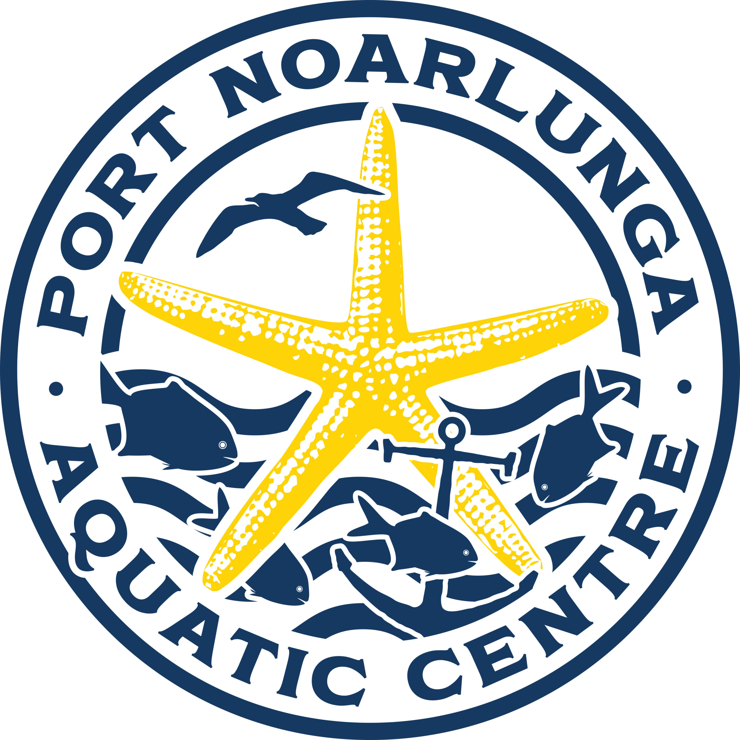 Port Noarlunga Aquatics